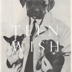 T E E N W I S H