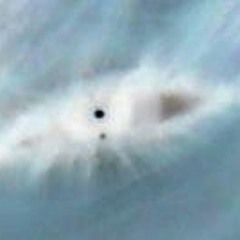 Christian DeCarlo Aod