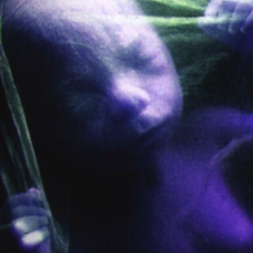 Canal Rat - Mastered