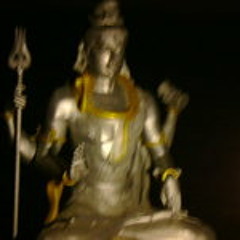 Rajgopal Narayan