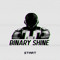 binary shine