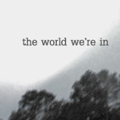 the world we're in