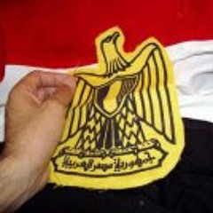 Ahmed Abd Elwahab 1