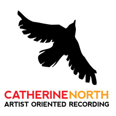 Catherine North Studios