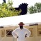 Ruhcan Akil