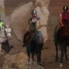 Ann Dickinson Weston