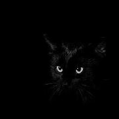 Joko Luis Bustos Silverio