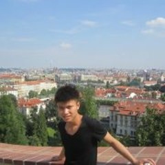 Viet Anh Nguyen 9