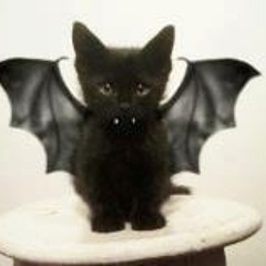 Alette Paez Hatfield