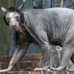 The People's Abstract