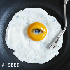 A Seed