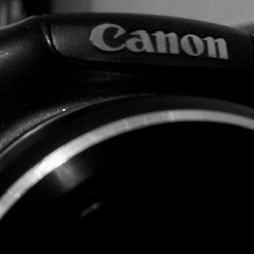 عيد يالعايدين