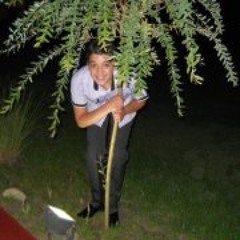 Savi Iulius Petranschi