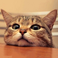 Testing, self played self sing