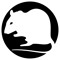 lab_rat