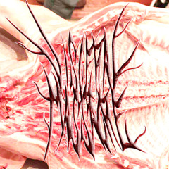 Visceral Massacre (VxMx)