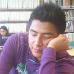 Luis Rojas Ariza