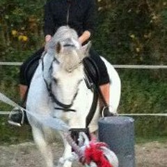 Sarah Yvonne Kleinert