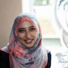 Ayatullah Hussein ElShamy