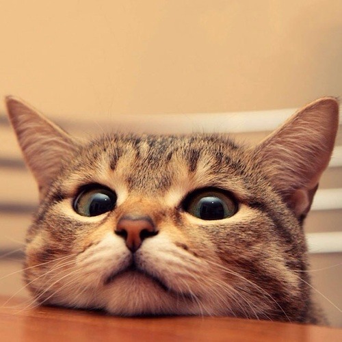 Ordinary^Extraordinary