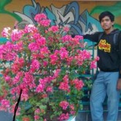 soad