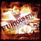 Furious Stylez