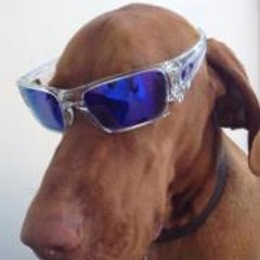 Michael Branagan-Harris