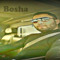 Naseem Benghazi