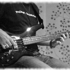 Boozoo Baju feat. Ben Weaver - Way Down (Bass cover) 2