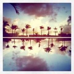 Elephants Productions