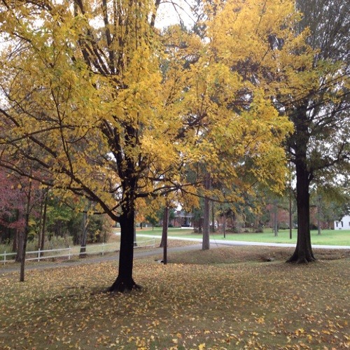 Sach keh raha hai diwana - Vocals