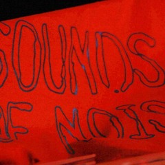 Sounds of Noise