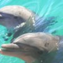 Myriam Magillissen-Badani