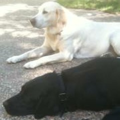 Elaine Teng O'Hanlon