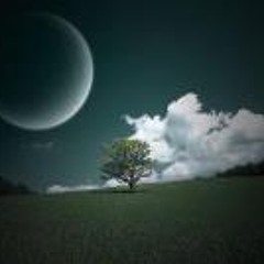 João Paulo Paiva Holz