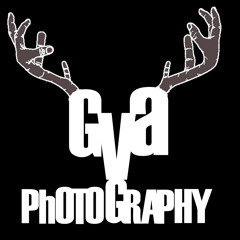 GVA PHOTOGRAPHY