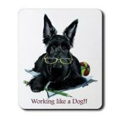 Robert Joel Saunders