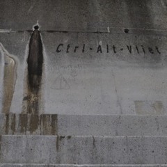 Ctrl-alt-Vliet