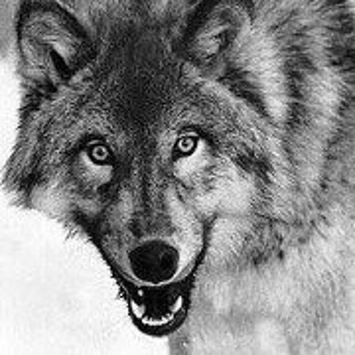 Stream Kacper Jankowski music Listen to songs, albums, playlists for