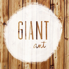 Giant Ant Music