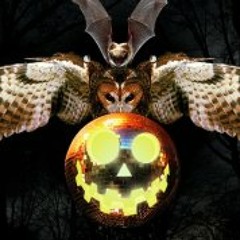 TheSwoop Erik Stendie