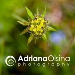 Adriana Olsina Fotografia