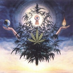 Three Boys and a Fire