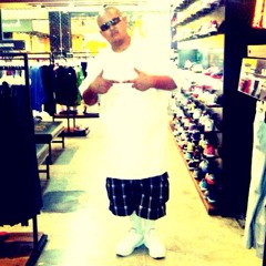 Mr.Birdd