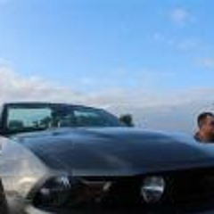 Tim Will Sommer Falk