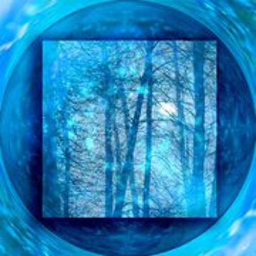 Blue Forest’s avatar