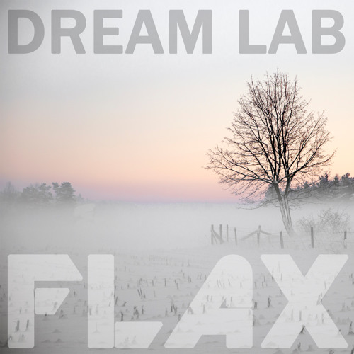 dream lab’s avatar