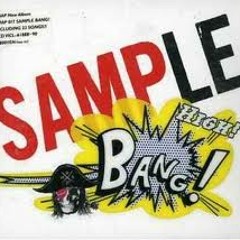 kourtek  sample