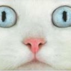 Melissa Catherine Wheeler