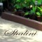 Shalini Ps
